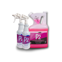P2 Starter Kit | Degreaser + Cleaner